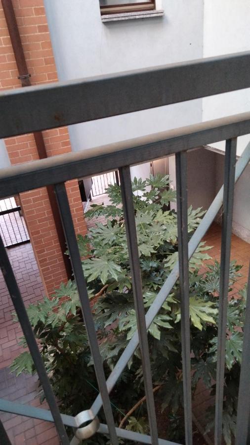 Ama Cityhouse Novara Bagian luar foto